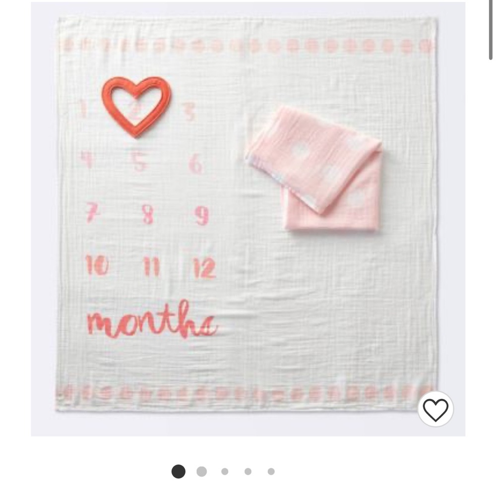 Monthly photos for infant newborns -Girls